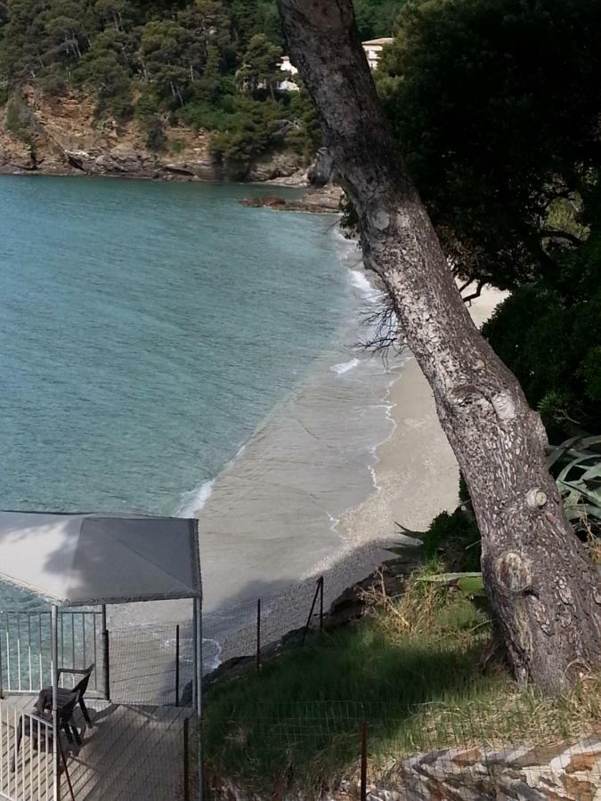 Villa Adriandre Rayol-Canadel-sur-Mer Exterior foto